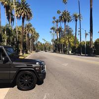 Отзыв от Аркадий - DTV виза